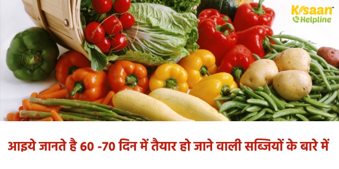 आइये जानते है 60 -70 दिन में तैयार हो जाने वाली सब्जियों के बारे में  