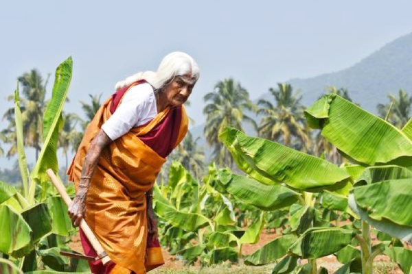 सफल कहानी: 105 साल की किसान पद्मश्री पप्पाम्मल की कहानी