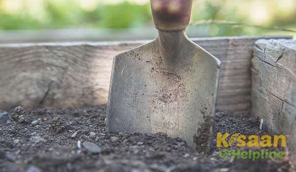 जानिए मिट्टी परीक्षण लेने का उद्देश्य, विधि और सावधानियां