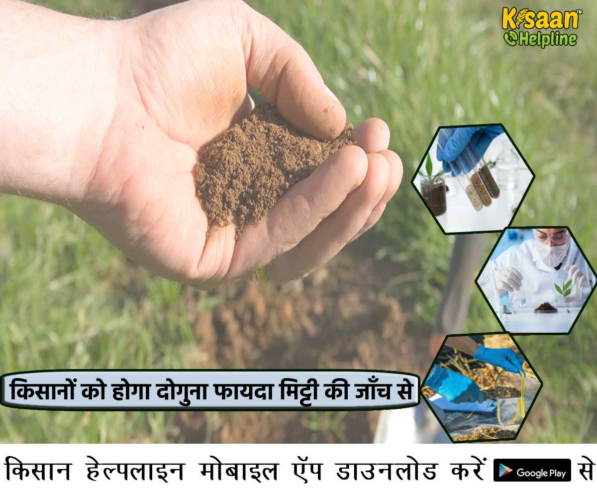 किसानों को होगा दोगुना फायदा मिट्टी की जाँच से, जानिए मिट्टी जाँच सम्बंधित जानकारी