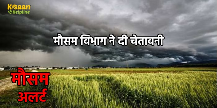मौसम विभाग ने दी चेतावनी: इस तारीख को होगी तेज बारिश, किसान जल्द करें ये काम, नहीं तो होगा नुकसान