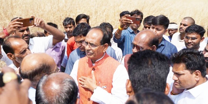 Madhya Pradesh: किसानों के लिए बड़ी घोषणा, 50 प्रतिशत फसल नुकसान पर 32 हजार रुपये प्रति हेक्टेयर देगी सरकार