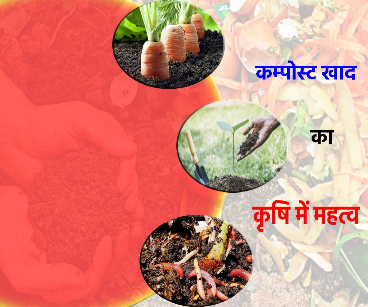 कम्पोस्ट खाद का कृषि में महत्व तथा अपशिष्ट पदार्थो के सदपयोग द्वारा स्वच्छ भारत के निर्माण में योगदान