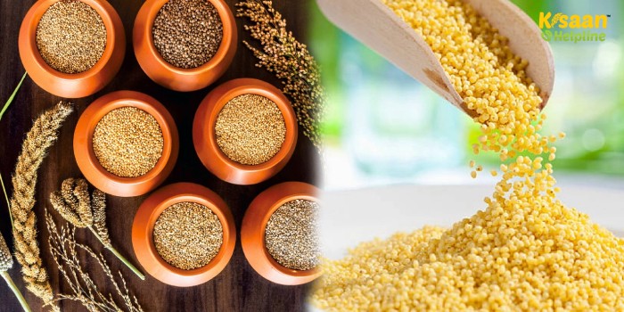 International Year of Millets 2023: Role of Millets in ensuring Nutritional Security