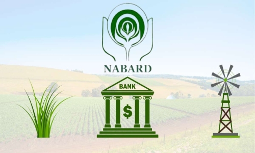 A Comparative study of Role of NABARD with co-operative Banks and their recommendation