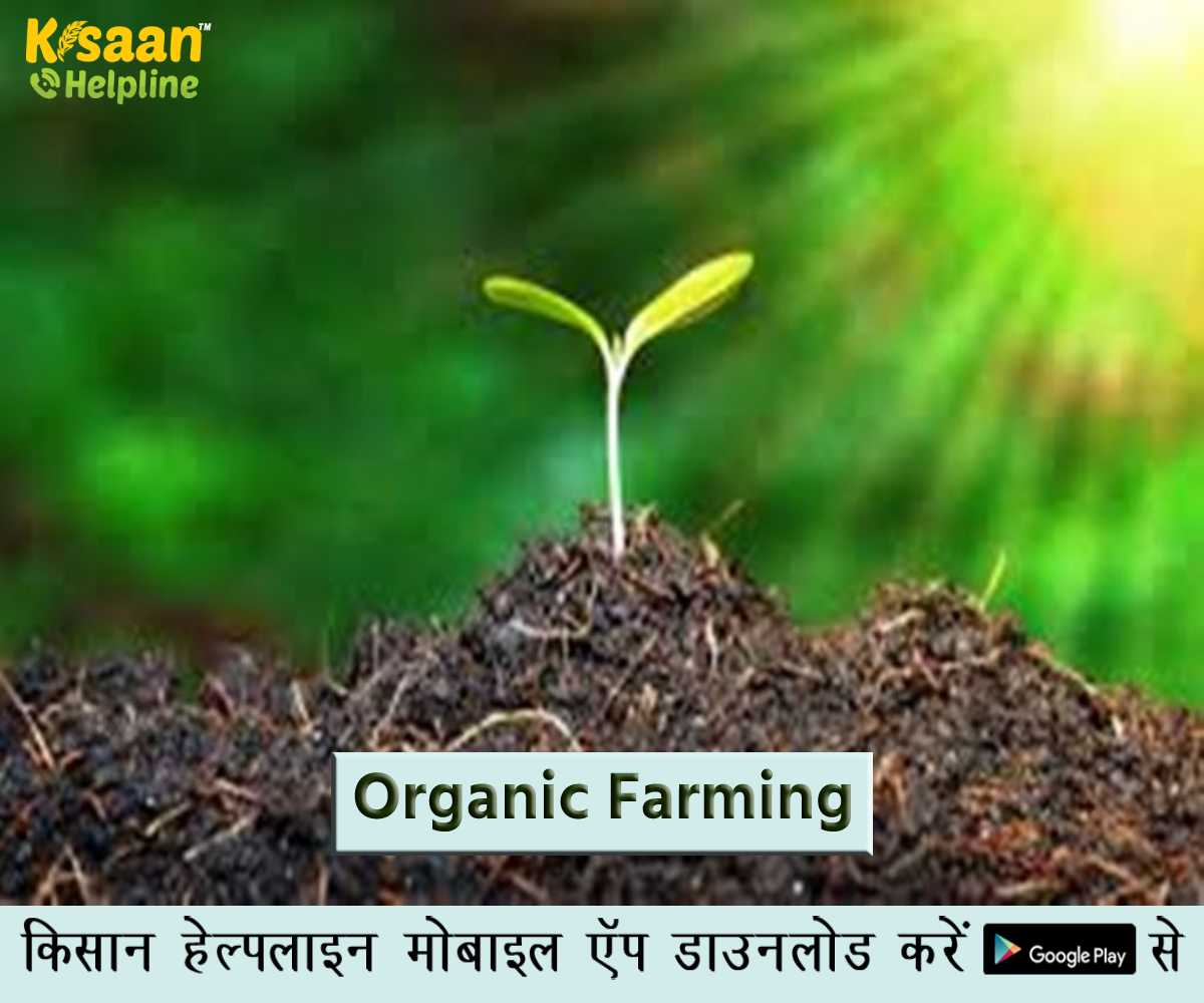 जैविक कृषि (Organic Farming)