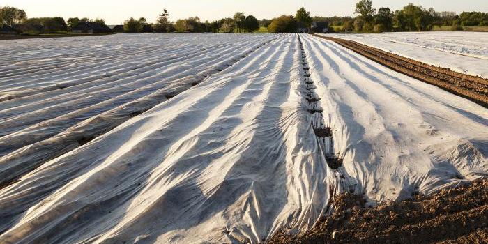 मृदा सूर्यकरण एक ऊष्म-शीत पद्धति तकनीक खेती में लाभ