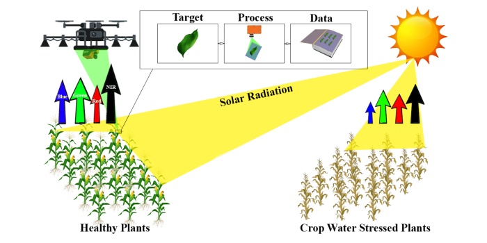 Utilizing Remote Sensing for Water Availability Assessment