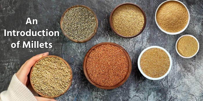 An Introduction of Millets