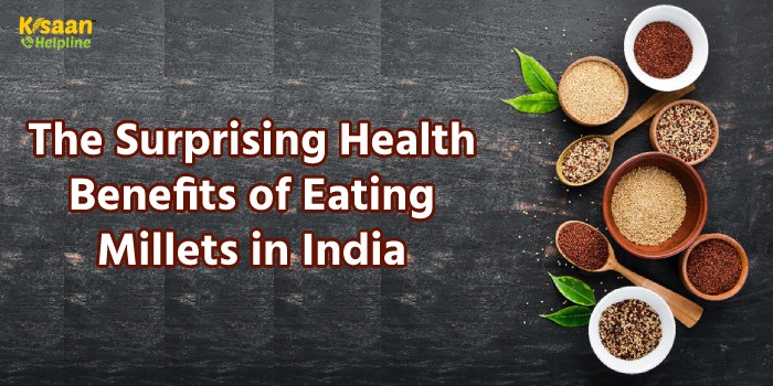 The Surprising Health Benefits of Eating Millets in India