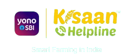 SBI Logo