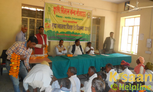 Krishi Vigyan Kendra, Maulasar, Nagaur