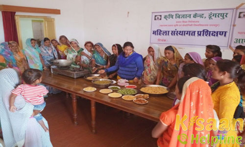 Krishi Vigyan Kendra, Faloj, Dungarpur