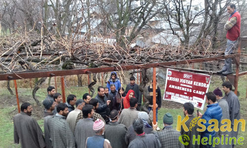 Krishi Vigyan Kendra Ganderbal