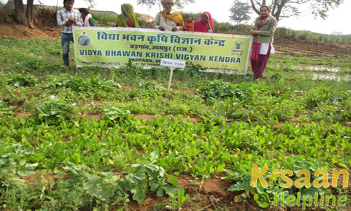 Krishi Vigyan Kendra, Badgaon, Udaipur
