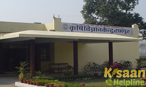 Krishi Vigyan Kendra, Dhamora, Rampur Krishi Vigyan Kendra, Dhamora, Rampur