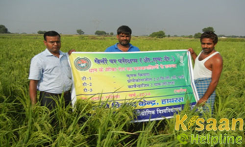 Krishi Vigyan Kendra, Mahamayanagar, Hathras Krishi Vigyan Kendra, Mahamayanagar, Hathras