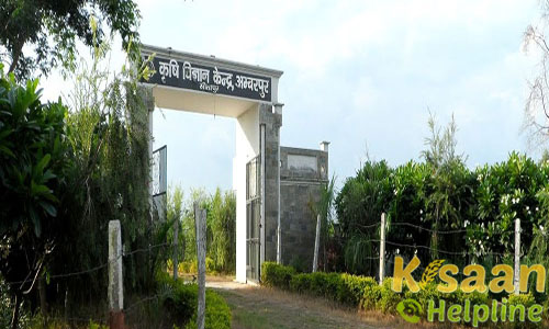 Krishi Vigyan Kendra, Amberpur, Sitapur Krishi Vigyan Kendra, Amberpur, Sitapur