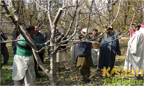 Krishi Vigyan Kendra, Kreeri, Anantnag Krishi Vigyan Kendra, Kreeri, Anantnag