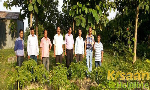 Krishi Vigyan Kendra, Rura Mallu, Jalaun Krishi Vigyan Kendra, Rura Mallu, Jalaun