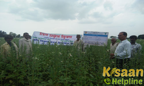 Krishi Vigyan Kendra, Mahoba