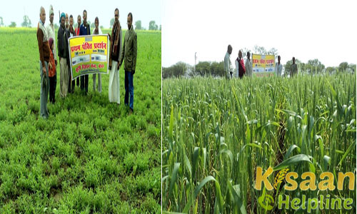 Krishi Vigyan Kendra, Kamasin, Banda