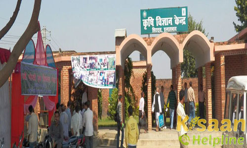 Krishi Vigyan Kendra Allahabad Krishi Vigyan Kendra Allahabad