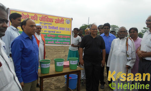 Krishi Vigyan Kendra, Bahraich