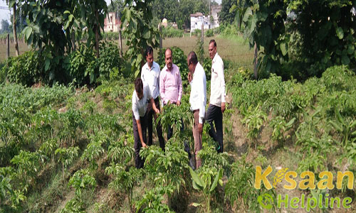 Krishi Vigyan Kendra, Jaunpur Krishi Vigyan Kendra, Jaunpur