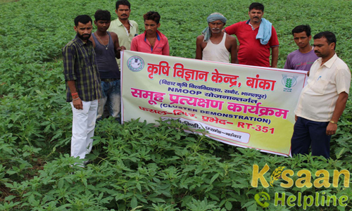 Krishi Vigyan Kendra, Vijay Nagar, Banka