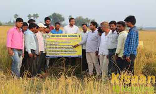 Krishi Vigyan Kendra Aurangabad