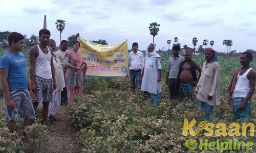 Krishi Vigyan Kendra, Gandhar, Jehanabad Krishi Vigyan Kendra, Gandhar, Jehanabad