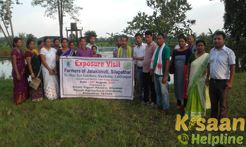 Krishi Vigyan Kendra Lakhimpur | Kisaan Helpline