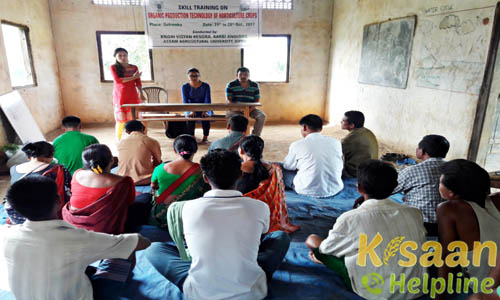 Krishi Vigyan Kendra, Diphu, Karbi Anglong Krishi Vigyan Kendra, Diphu, Karbi Anglong