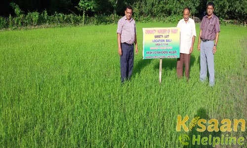 Krishi Vigyan Kendra, Sariahtoli, Nalbari