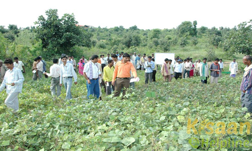 Krishi Vigyan Kendra, Dabroha, Umaria