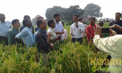 Krishi Vigyan Kendra sidhi