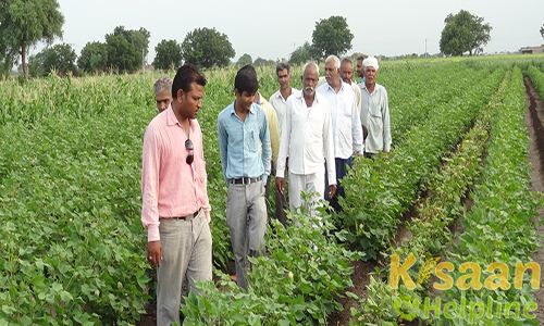 Krishi Vigyan Kendra, Sanosara, Bhavnagar