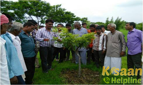 Krishi Vigyan Kendra Panchmahal Krishi Vigyan Kendra Panchmahal