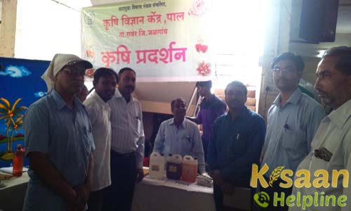 Established or Grape Vinary Industry in Titri