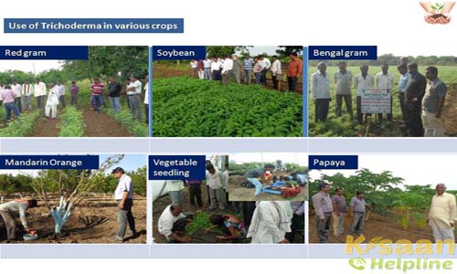 Krishi Vigyan Kendra, Ghatkhed, Amravati