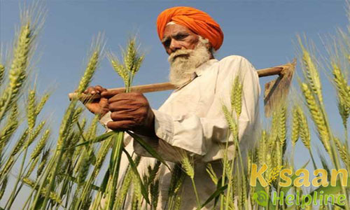Krishi Vigyan Kendra Fazilka Krishi Vigyan Kendra Fazilka