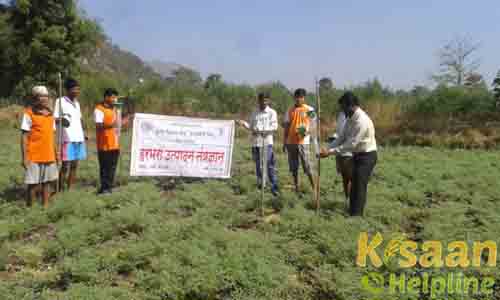 Krishi Vigyan Kendra, Kosbad Hill, Thane Krishi Vigyan Kendra, Kosbad Hill, Thane