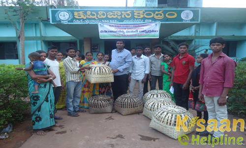 Krishi Vigyan Kendra, Rastakuntabai, Vizianagaram Krishi Vigyan Kendra, Rastakuntabai, Vizianagaram