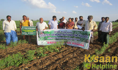 Krishi Vigyan Kendra, Yagantipalli, Kurnool Krishi Vigyan Kendra, Yagantipalli, Kurnool
