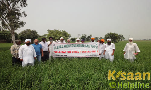 Krishi Vigyan Kendra Panipat