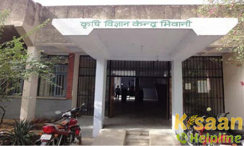 Krishi Vigyan Kendra Bhiwani Krishi Vigyan Kendra Bhiwani