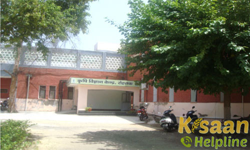 Krishi Vigyan Kendra Rohtak 