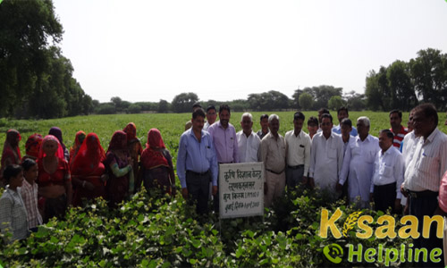 Krishi Vigyan Kendra, Lunkaransar, Bikaner