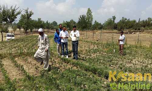 Krishi Vigyan Kendra Baramulla